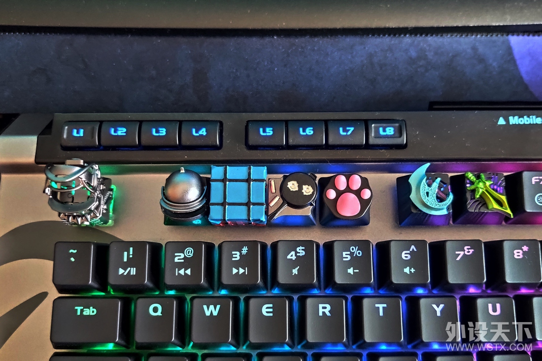 ZOMO ̾ߡͷ Լñ 