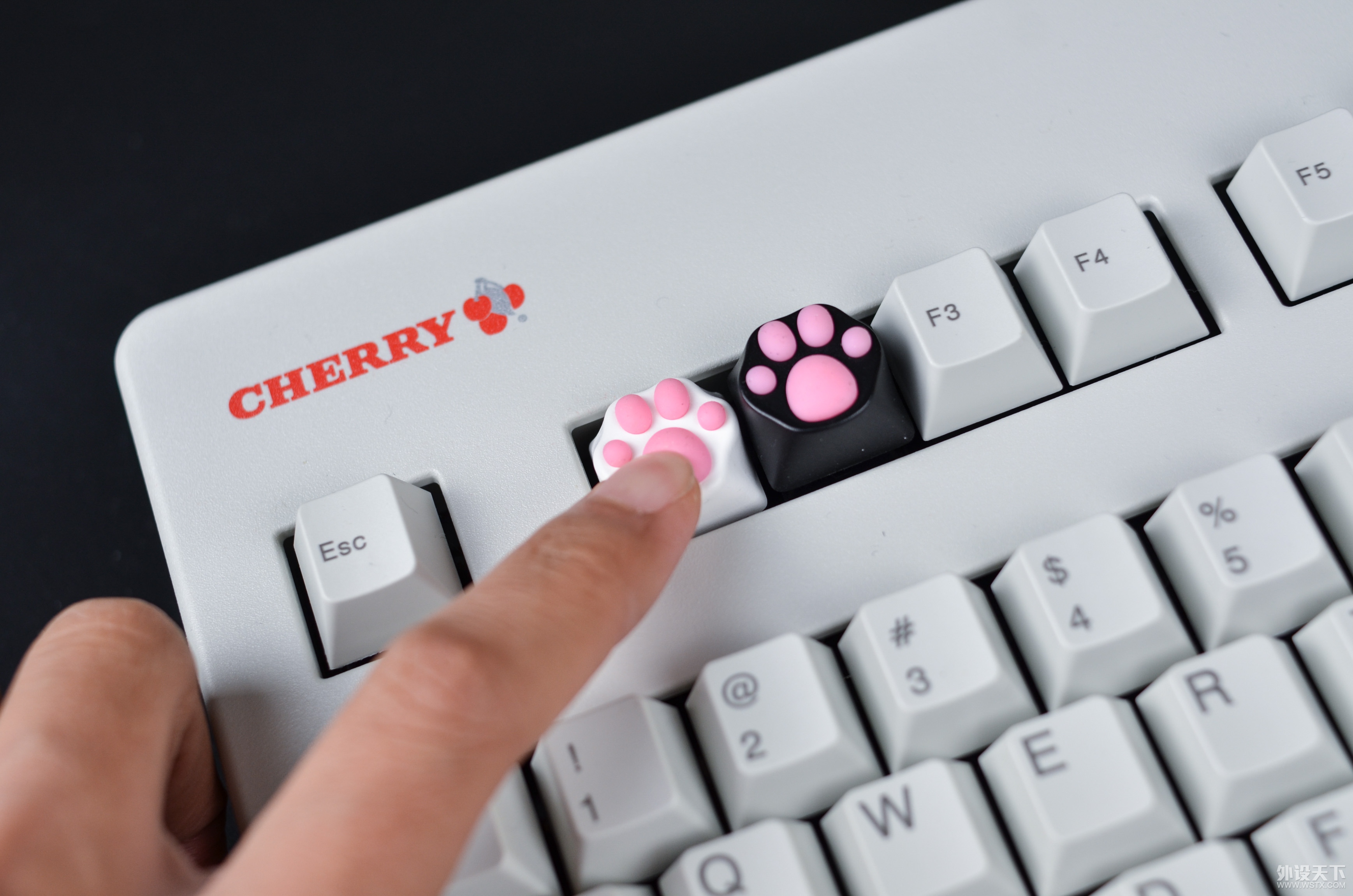 �Լ۱�����������֮����ZOMO�¿�ABS����èצ��ñͼ��