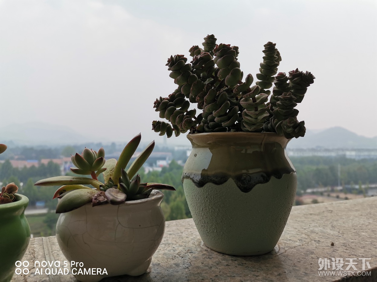 ���������꣬��Ϊnova 5 Pro����Щ��ȱ���㶼����