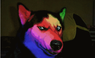 ��������������������˫11����ʲô��