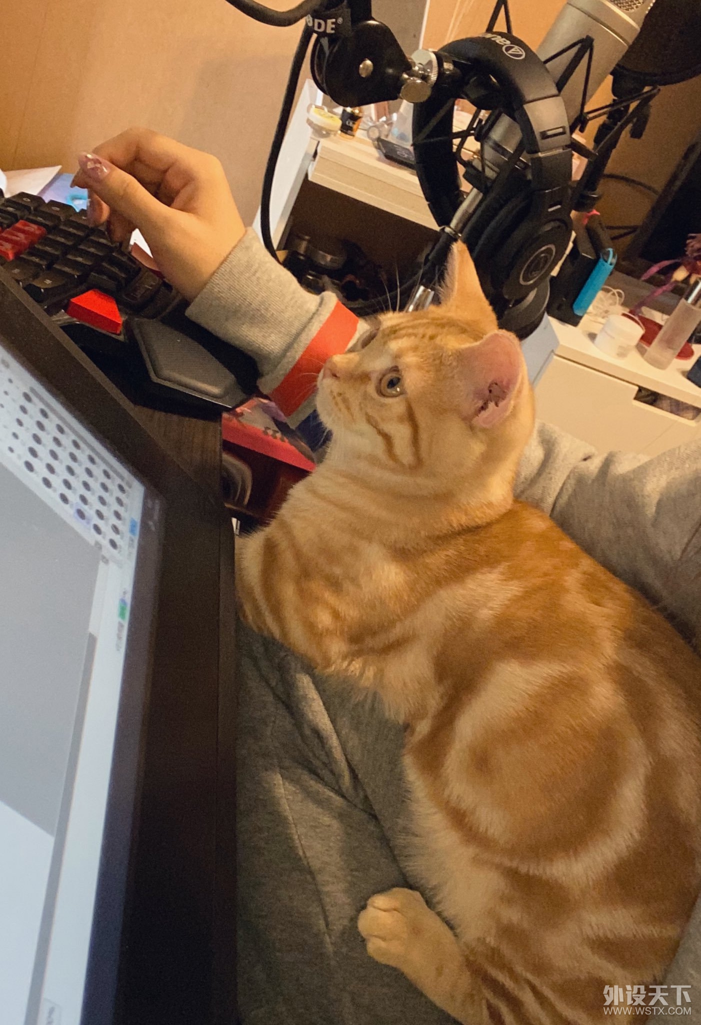 ������ʶ����ʲô������?