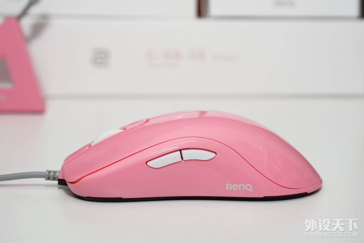 ӹװ˼ѣ ZOWIE FK1-BɫС