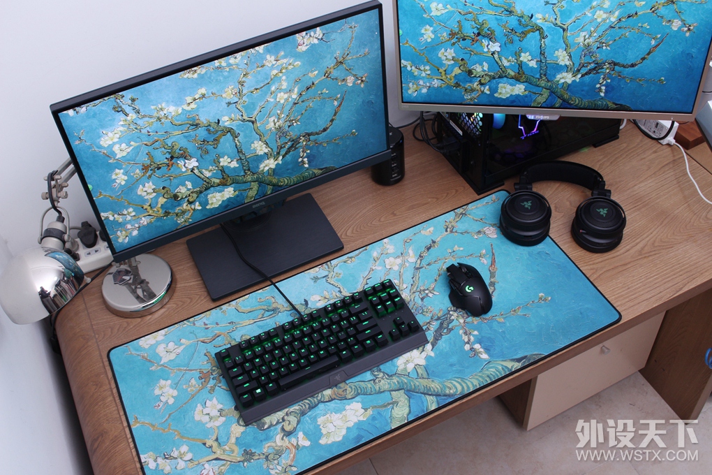 ԭ��ɫ�����㲻�����������ߺڹѸ�֩��X�����棨��������