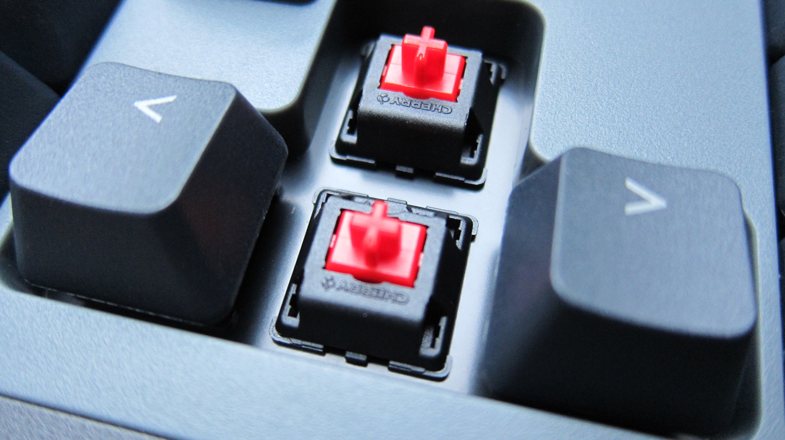 ����������ɵü棬ӣ�Һ����������ߣ�TT G821���м���ģ���������ź�