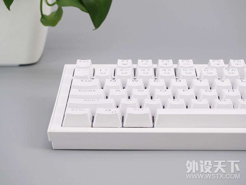 ⡤-MSI΢GK50Zе