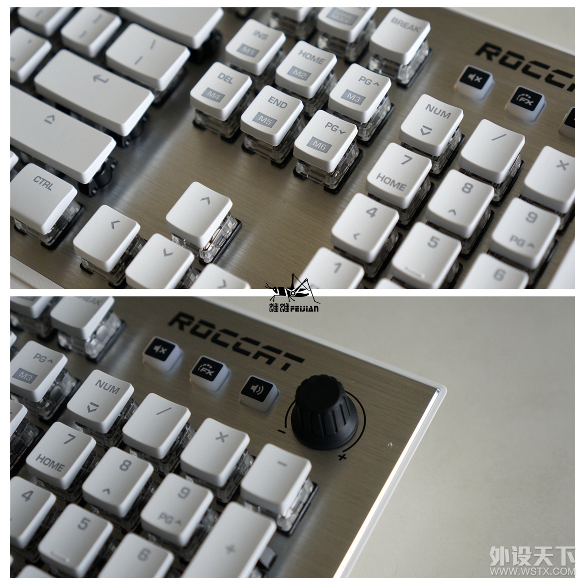 ROCCAT ȫͰһ