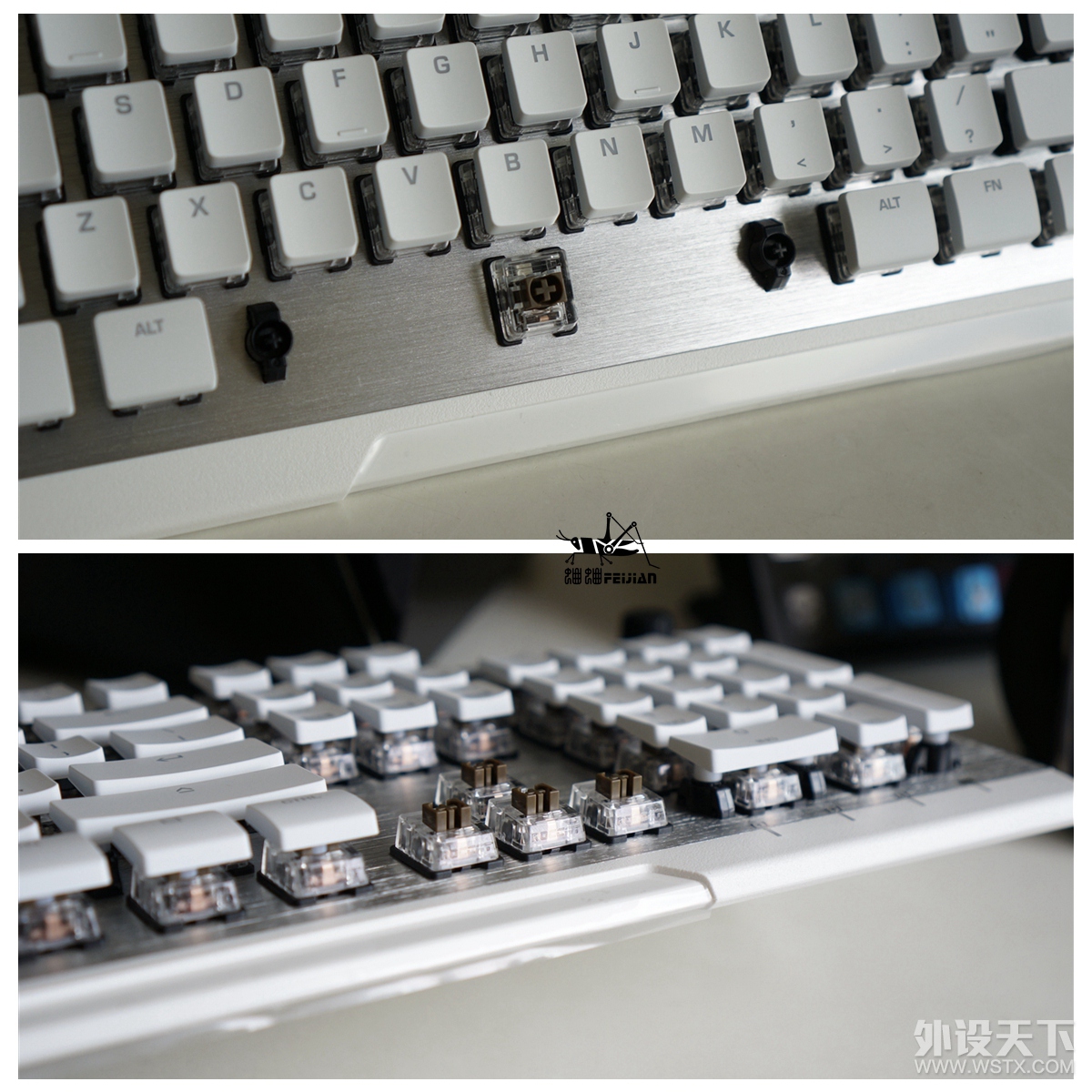ROCCAT ȫͰһ