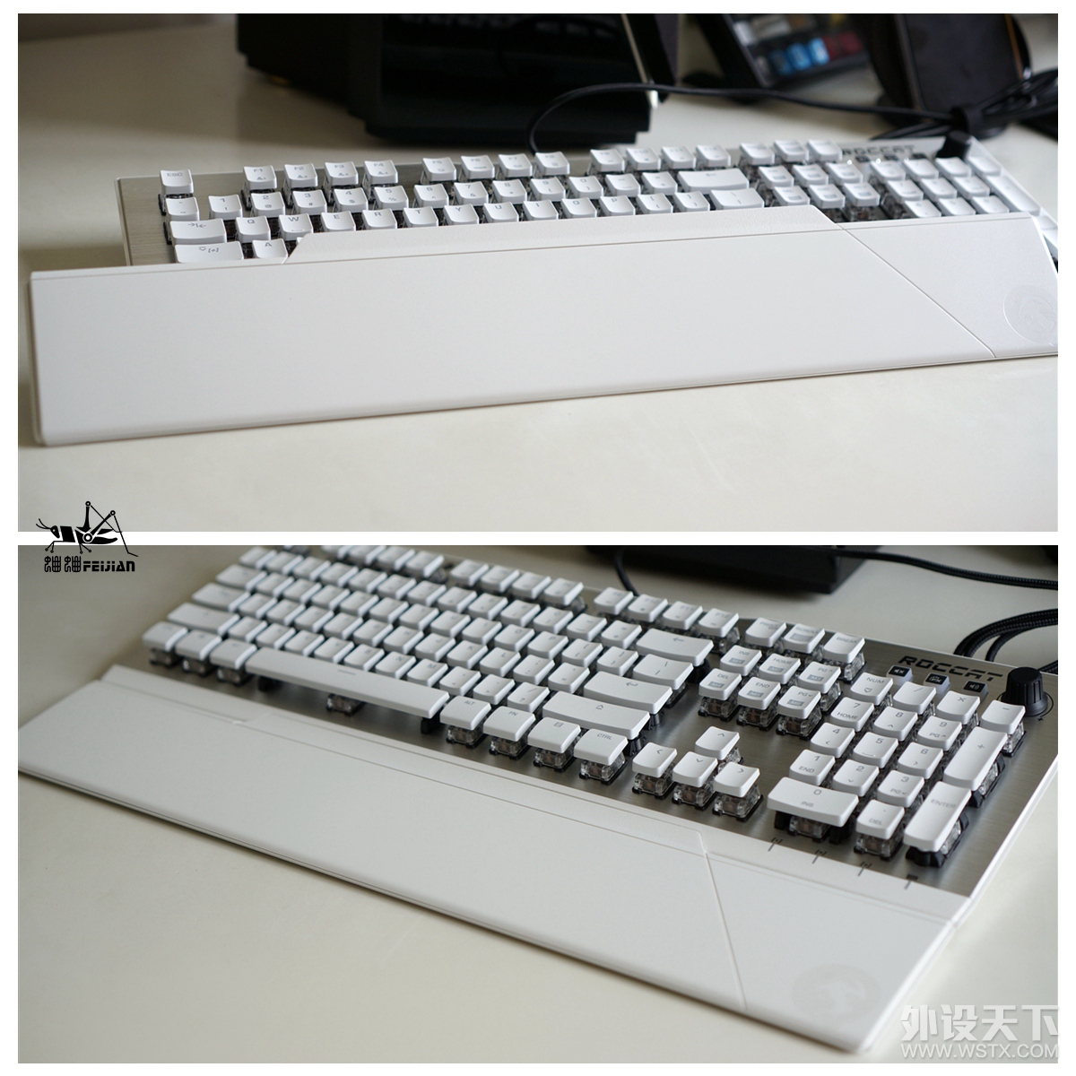 ROCCAT ȫͰһ