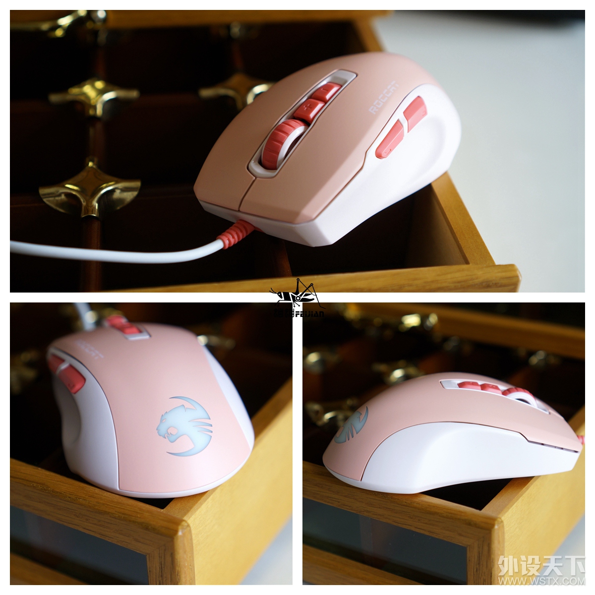 ROCCAT ȫͰһ