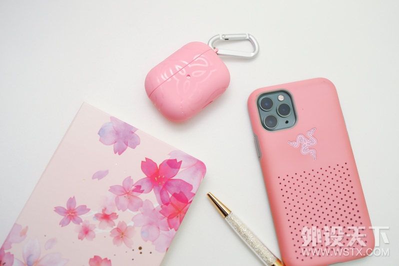 THS CASE۾Airpods Pro:ϵ