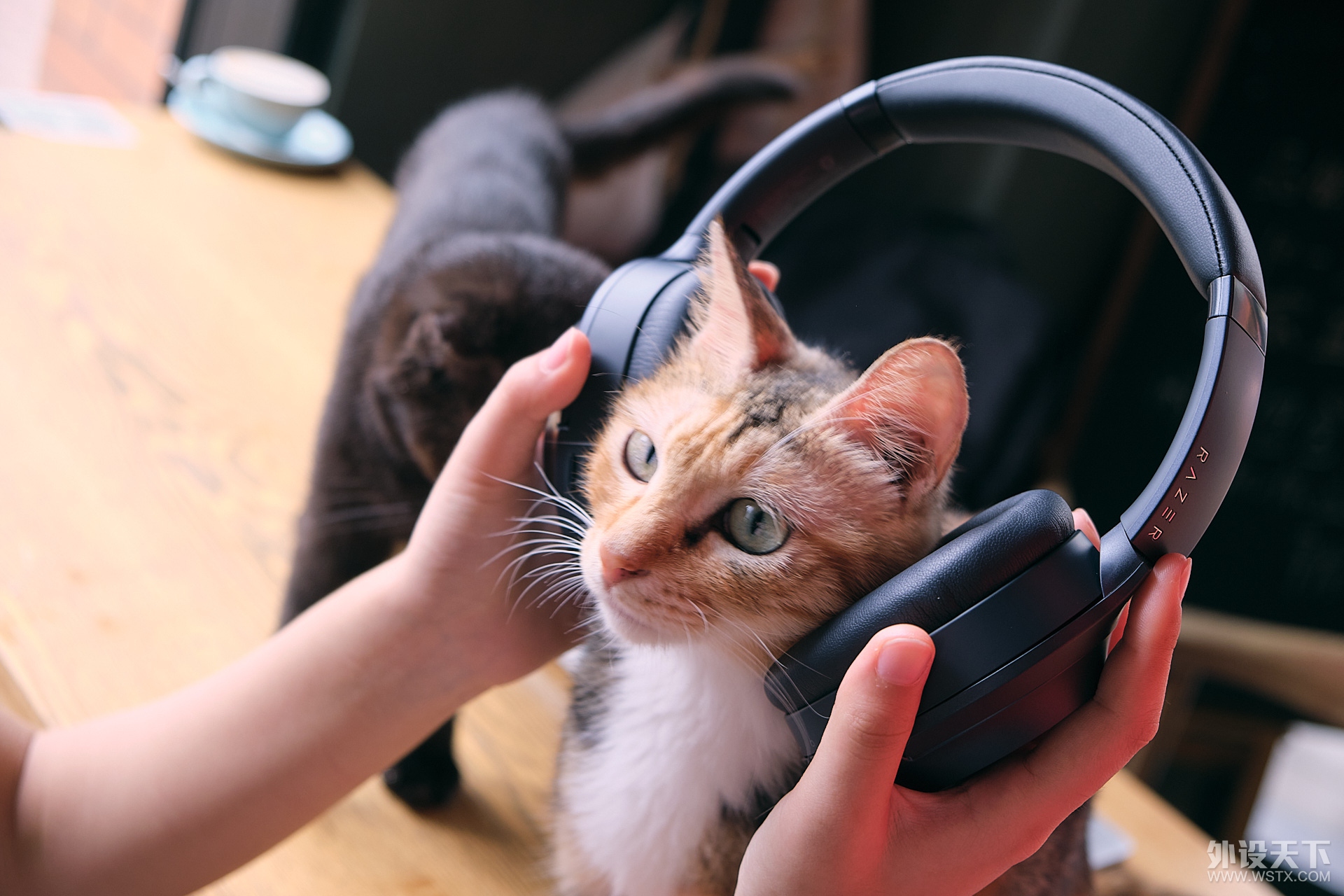 ߡ߶Razer Opus