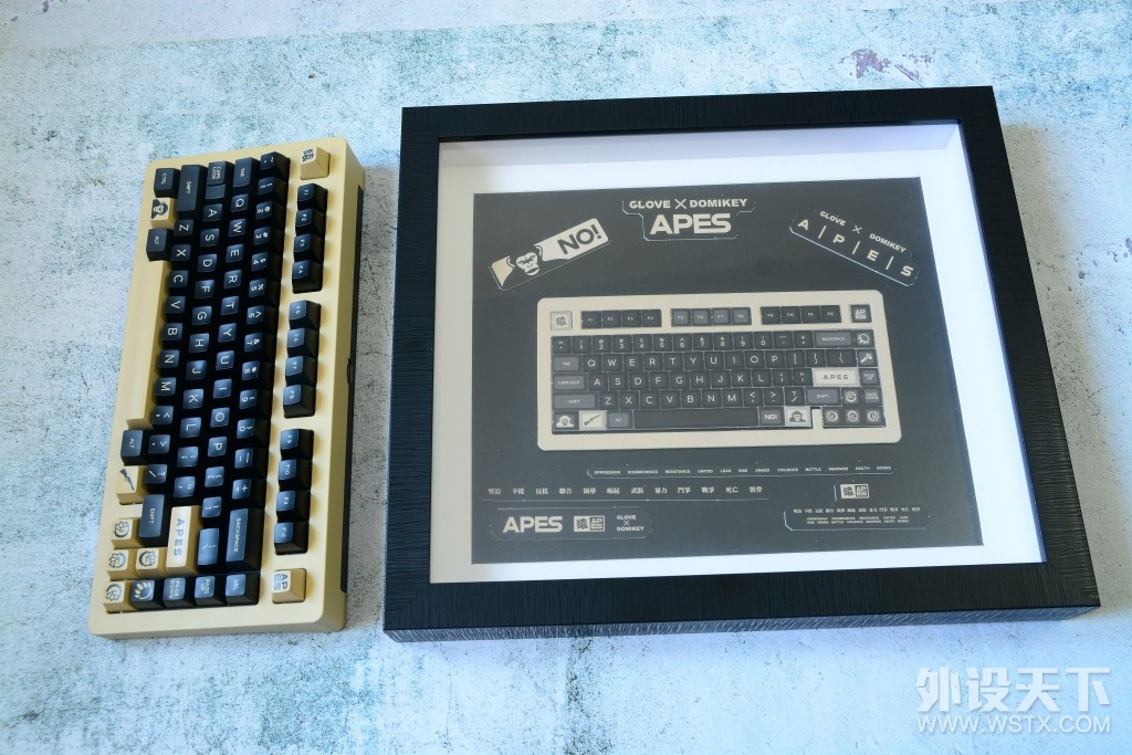 Գϼ塪APES 75+DomikeyԳ