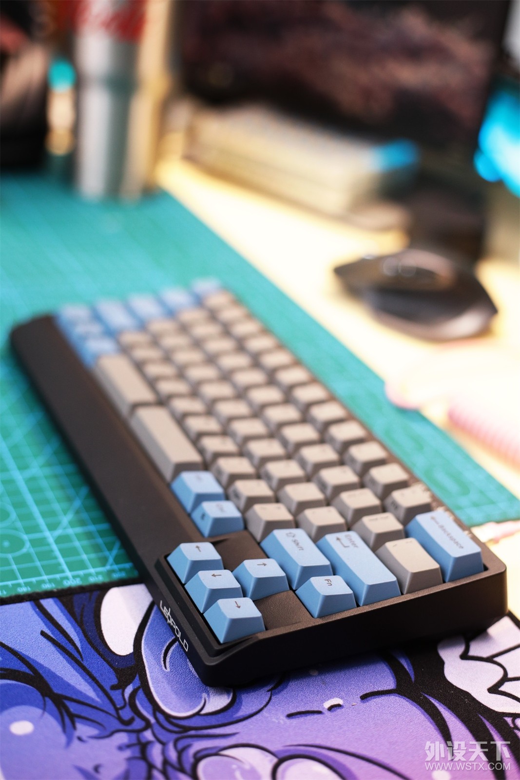 ոˡļҪզã Leopold FC650MDSBT 