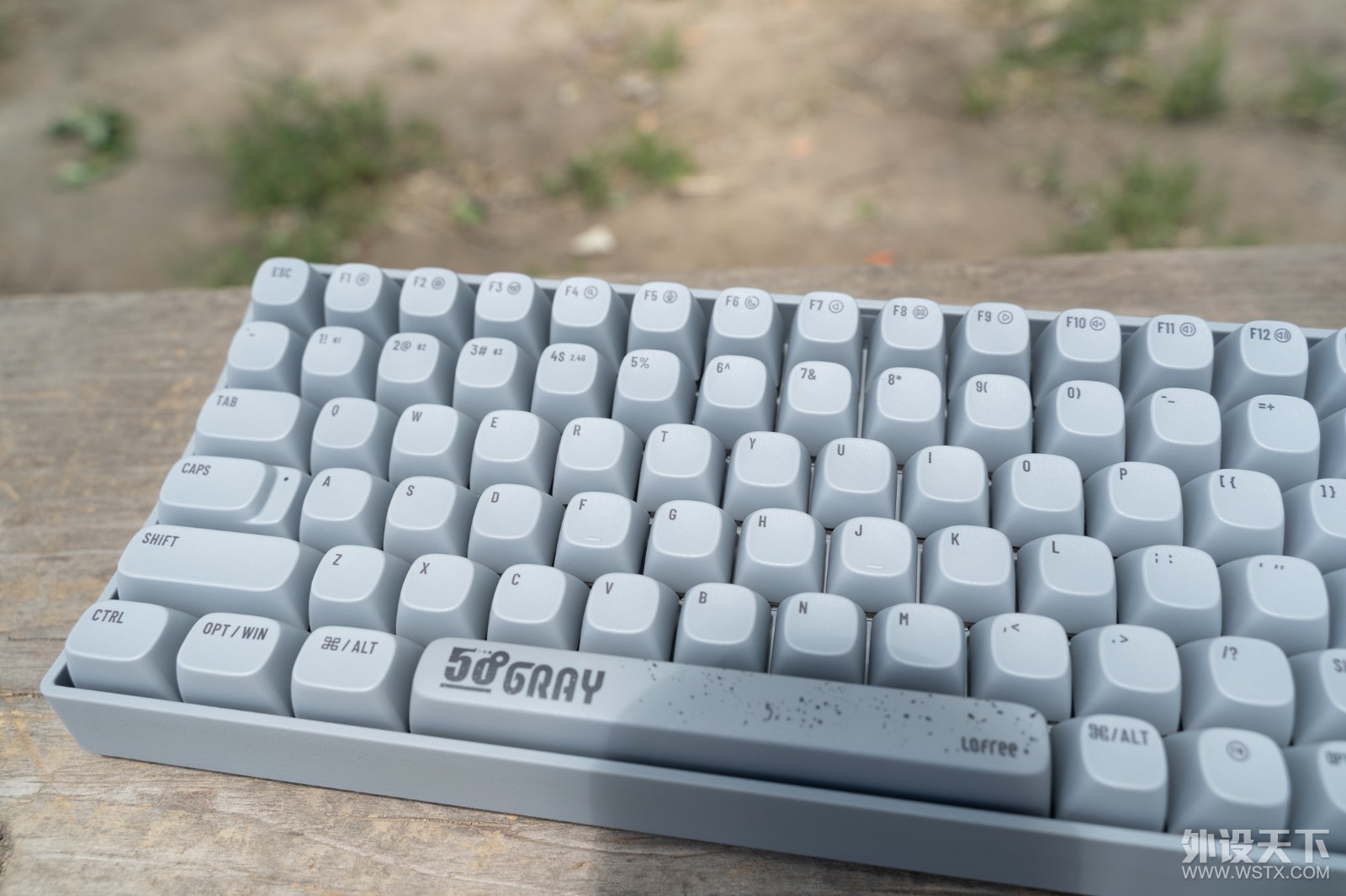 50ȻңLofreeС̼е˼
