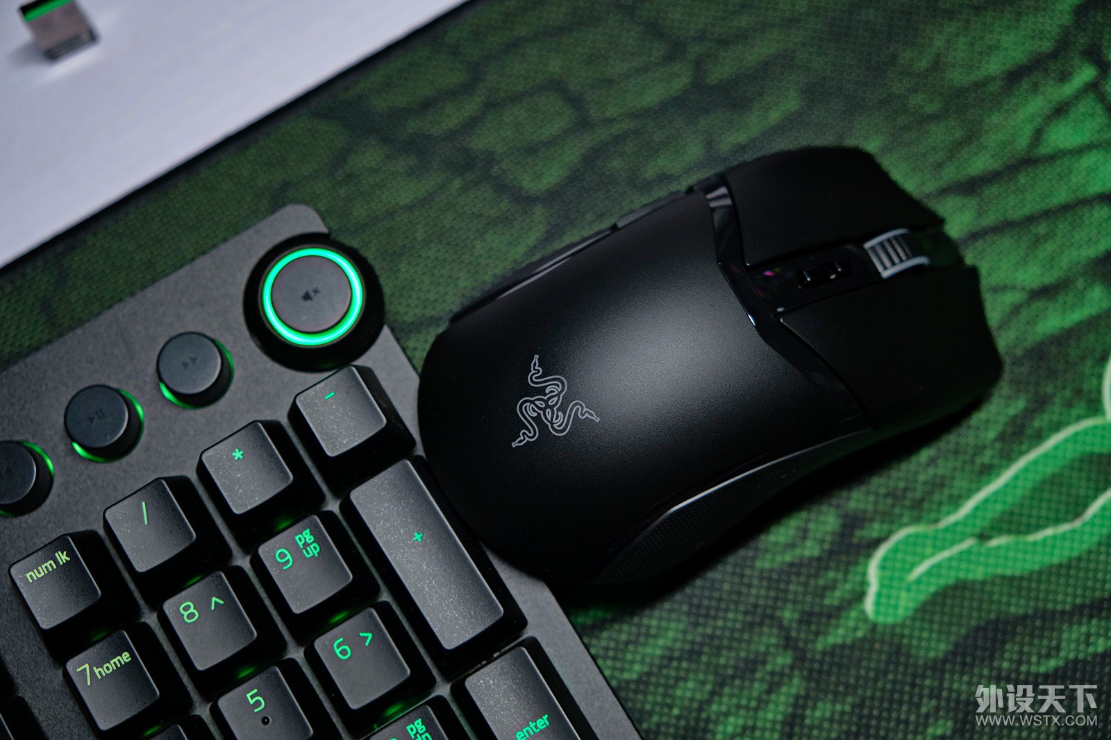 Сָģ콢Razer Cobra Pro۾רҵ