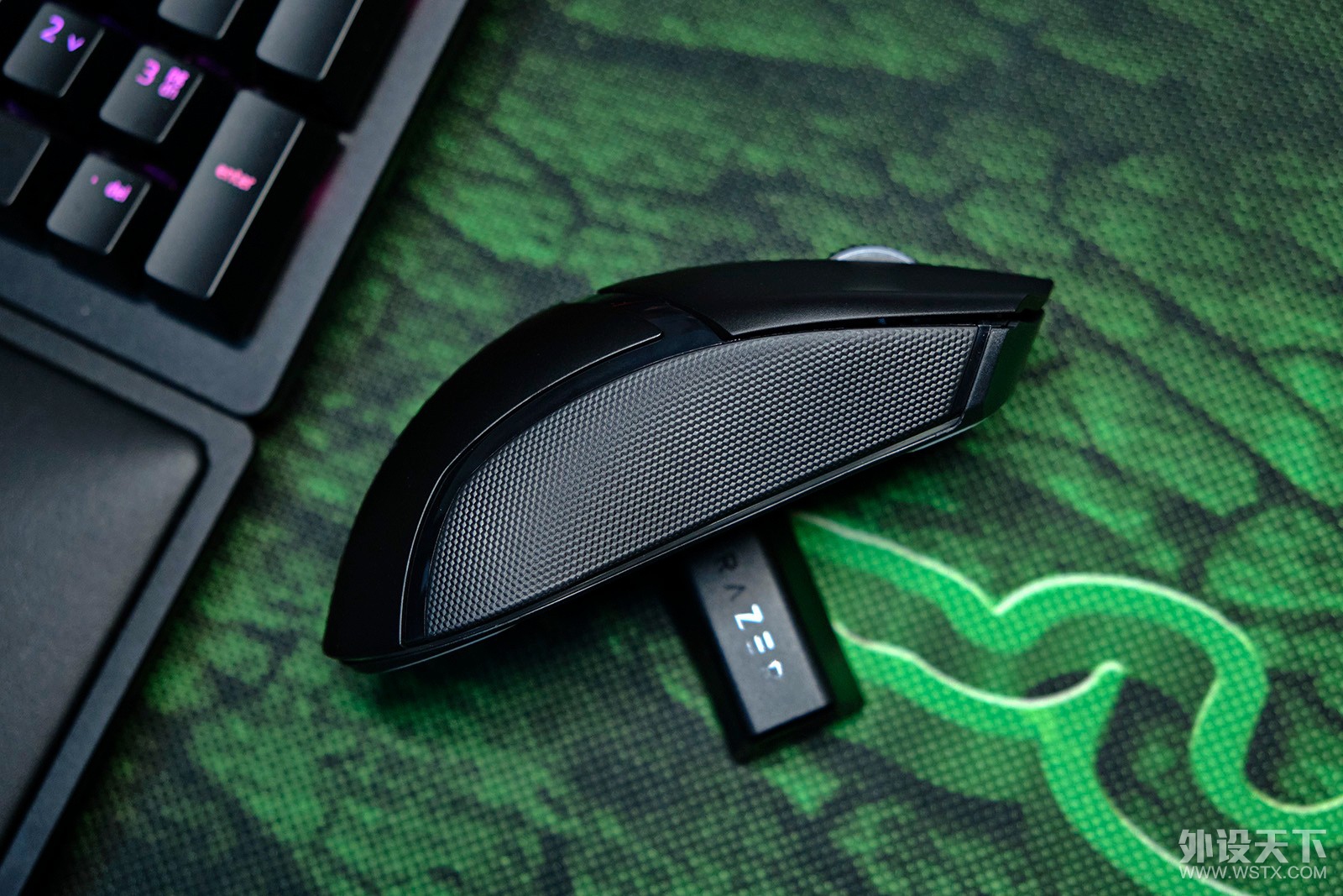 Сָģ콢Razer Cobra Pro۾רҵ