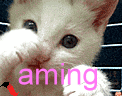 75.gif