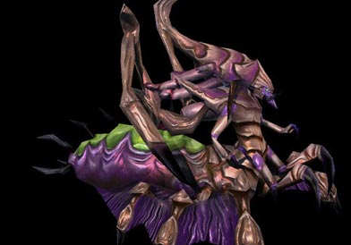 ������Ա̸���������