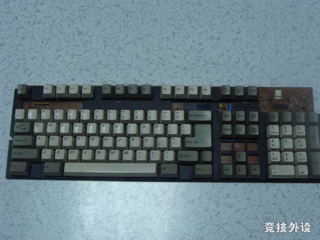 ������С DSC00644.JPG