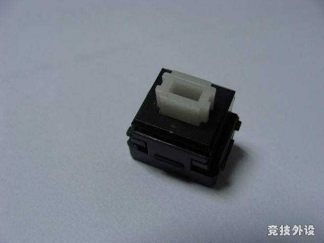 ������С DSC00654.JPG