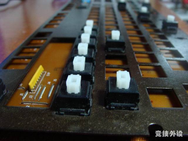 ������С DSC00660.JPG