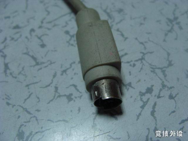 ������С DSC00641.JPG