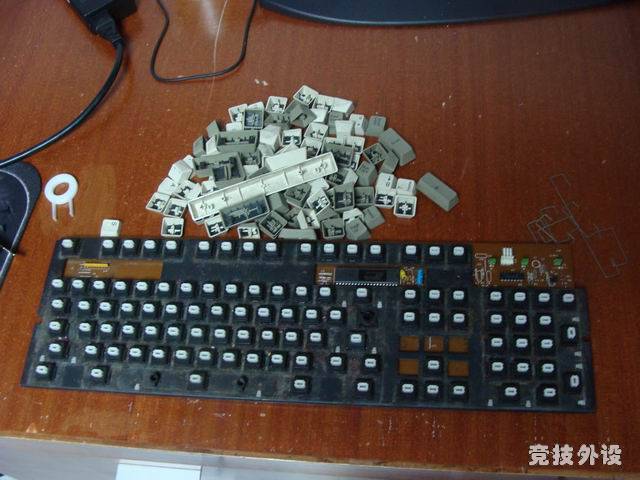 ������С DSC00646.JPG