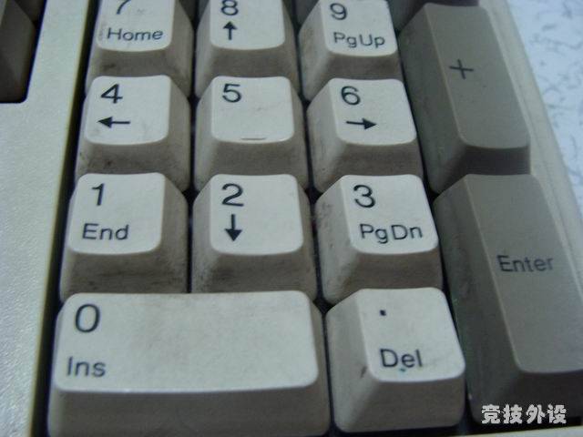 ������С DSC00639.JPG