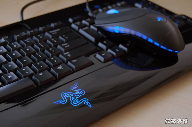 tarantula-pa05.jpg