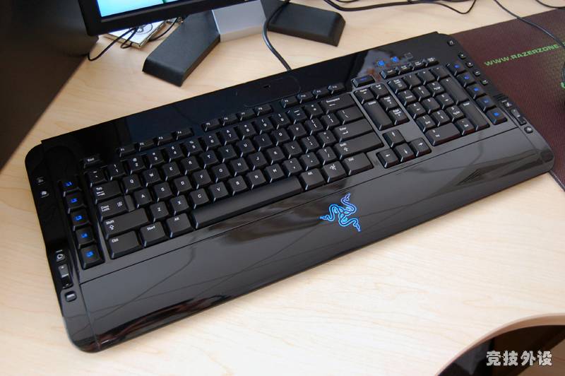 tarantula-pa01.jpg