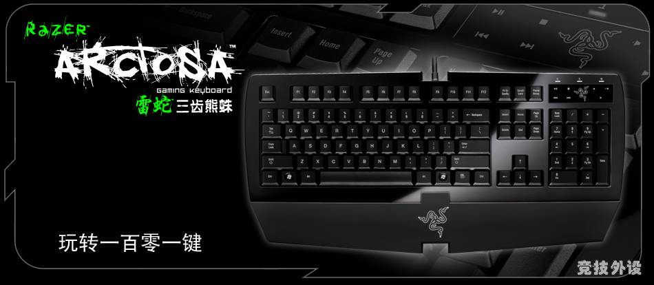 arctosa_silver_big_banner-chs.jpg