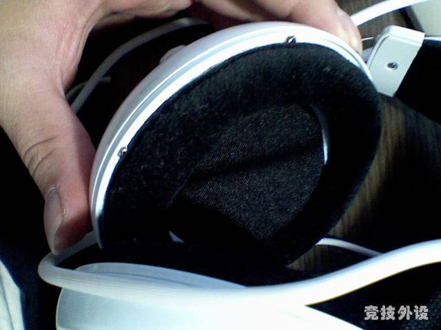 ��˿����˿