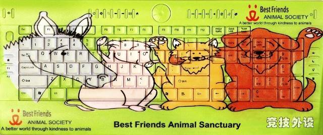 �����͵ļ���