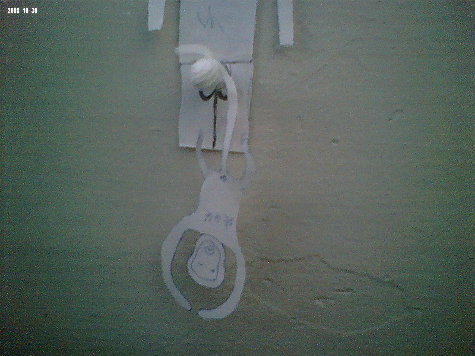 ʵ磨˷ףϲ𿴣