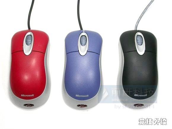    ����ǹ�ѧ������