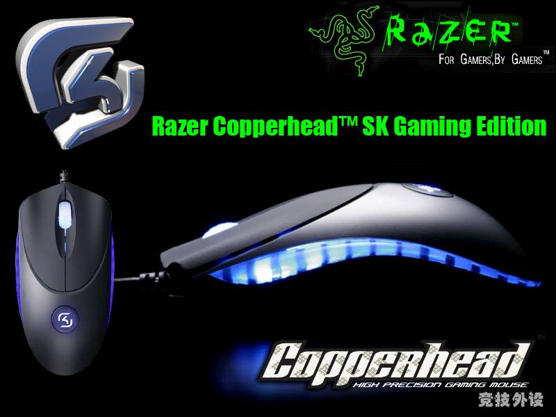 ���� ����һ��...������������sk�汾��ͭ��?�ָ��в�ͬô?