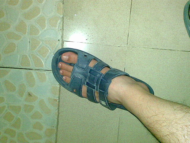 20081110(001).jpg