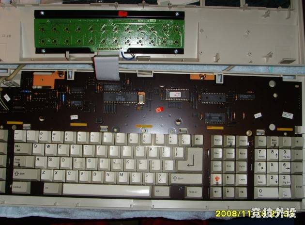 D28 (2).jpg