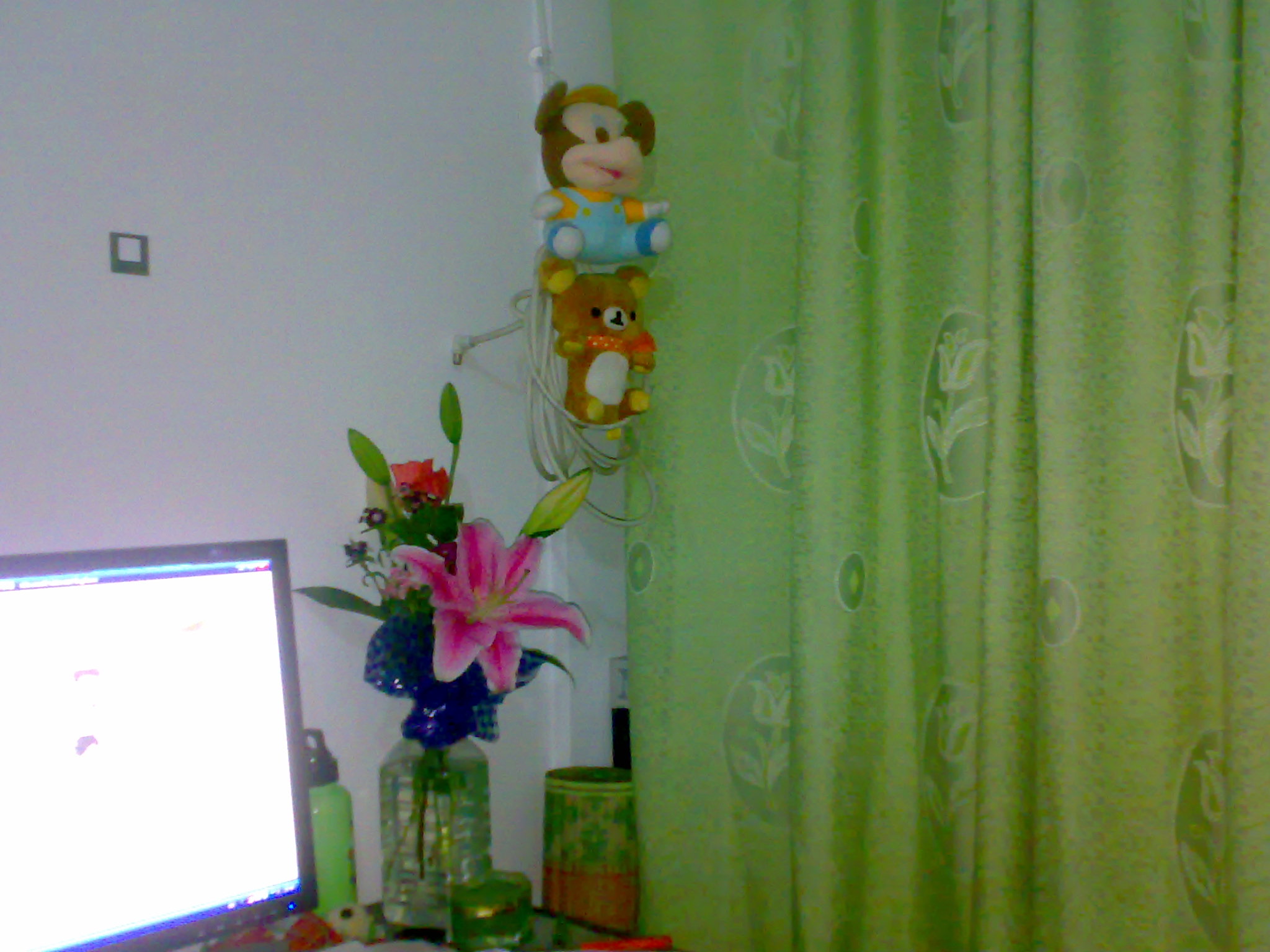 24112008026.jpg