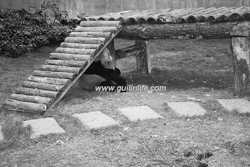 ��û�¶�һ����