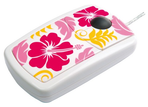 ������ɫ�����