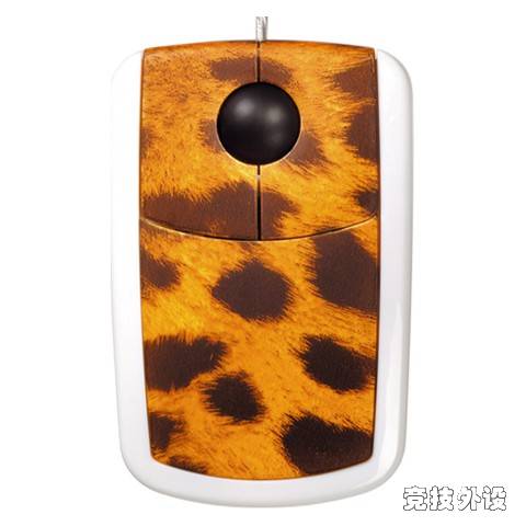 ������ɫ�����