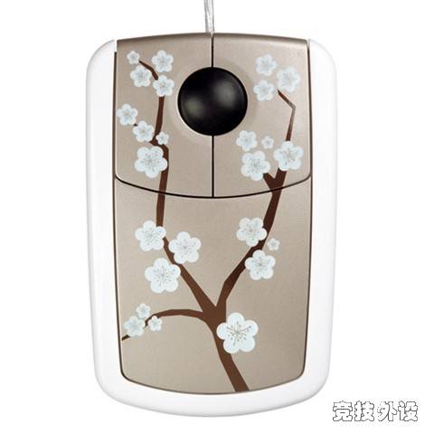 ������ɫ�����