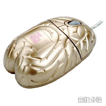 ������ɫ�����