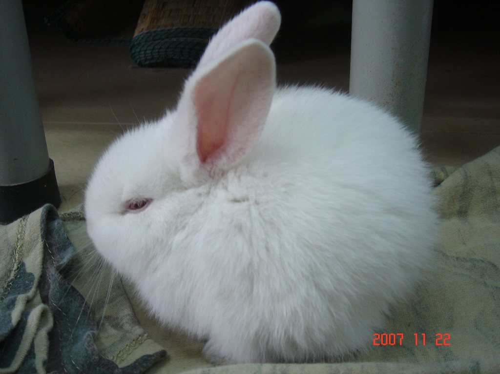 DSC01942.JPG