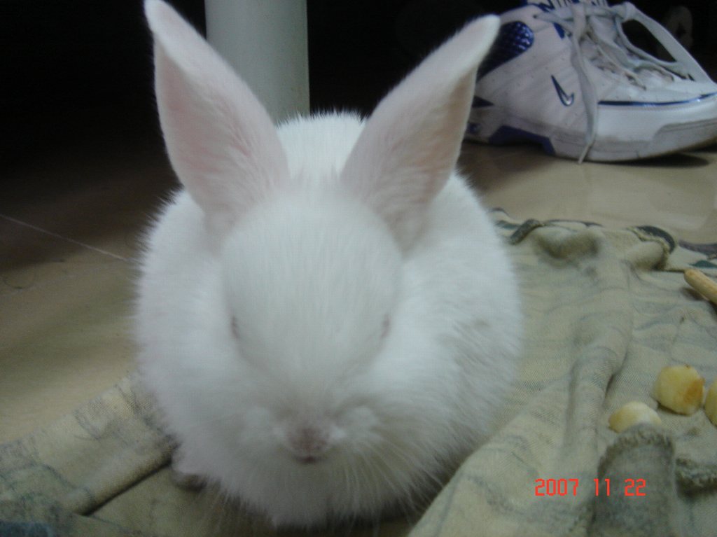 DSC01943.JPG