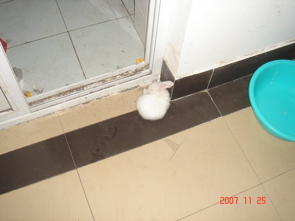 DSC01954.JPG