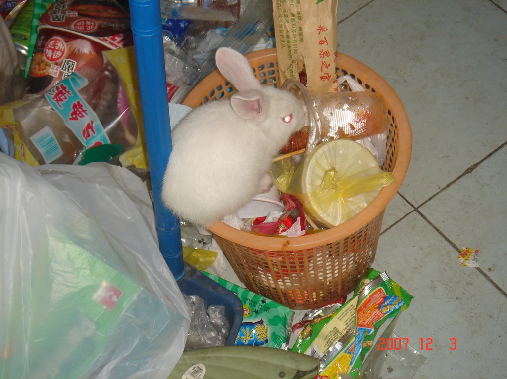 DSC01970.JPG