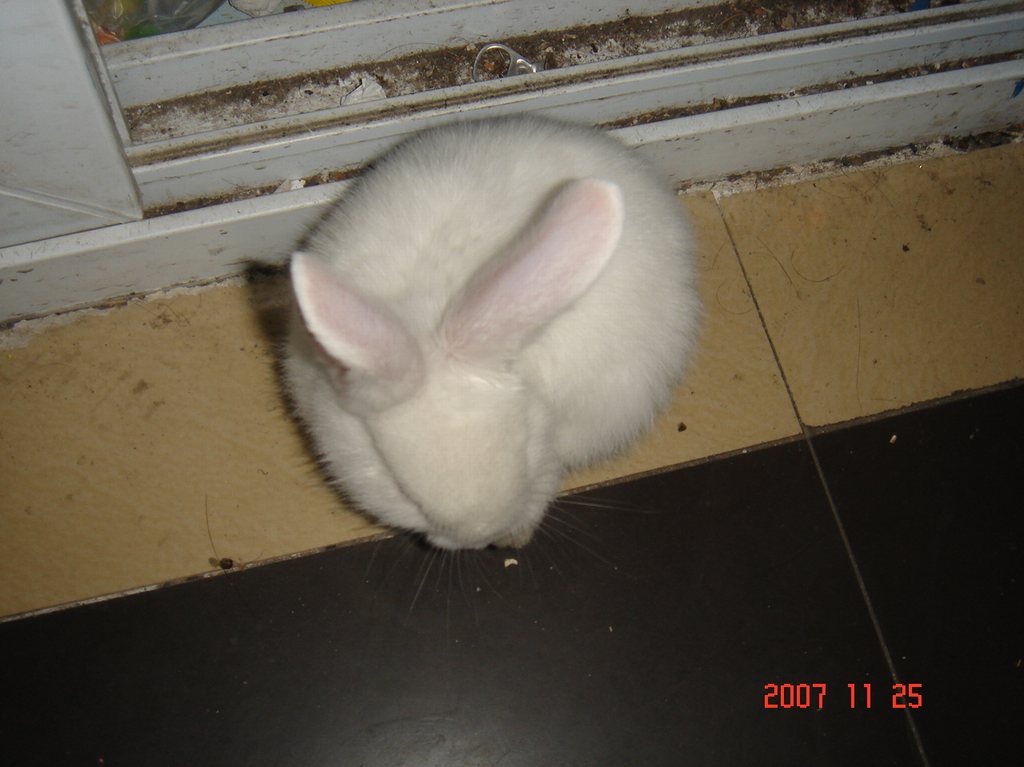 DSC01957.JPG