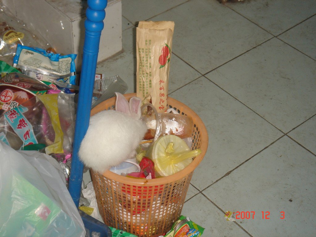 DSC01969.JPG